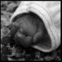 photo 17a